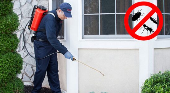 Karaçoban Bit İlaçlama böcek ilaçlama ve haşere kontrolü — ilaclama-tr.com